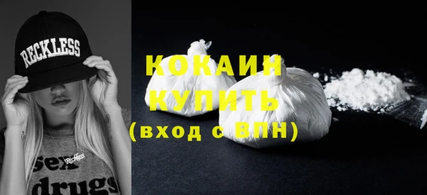 индика Абинск
