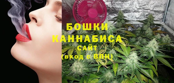 гидра Абаза