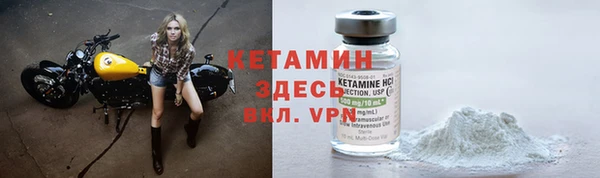 гидра Абаза