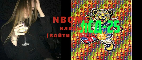 гидра Абаза