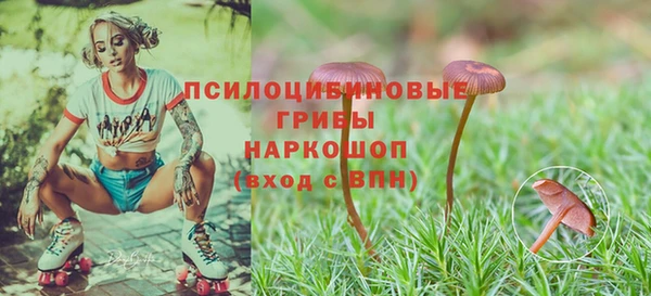 индика Абинск